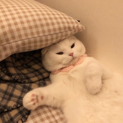 荣耀Magic8 Pro Air发布 售价4999元起