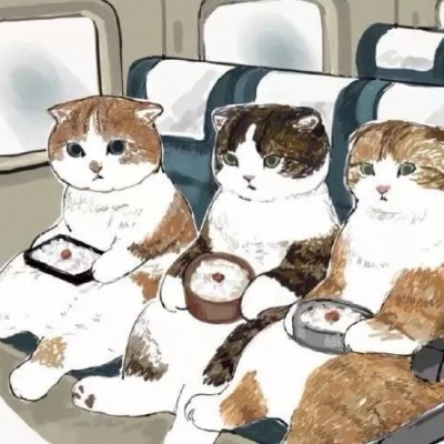 马斯克星链疯狂圈地，中美发射成本倒挂