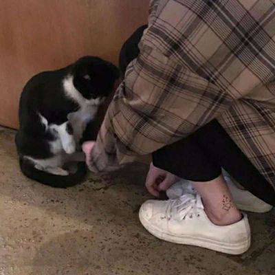 90后占比57% 小鹏X9拉低MPV用户年龄