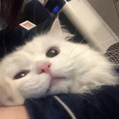 大师赛奖金分布：囧哥独揽35万磅